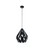 Eglo Suspension Luminaire Carlton 1 Acier Noir | IP20 - Convient pour 1x E27 